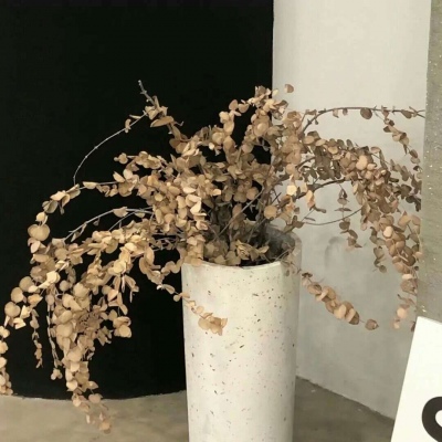 巴楚FurryQQ群介绍